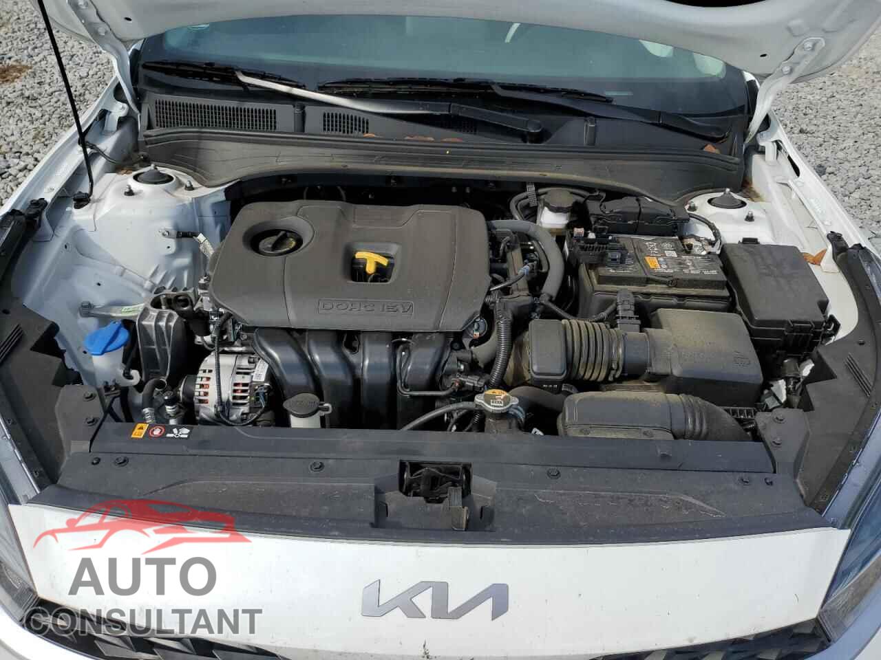 KIA FORTE 2024 - 3KPF24AD0RE794242