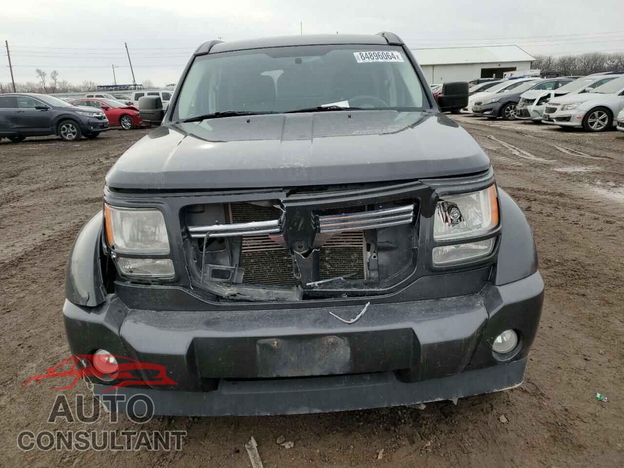 DODGE NITRO 2011 - 1D4PU4GX0BW501101