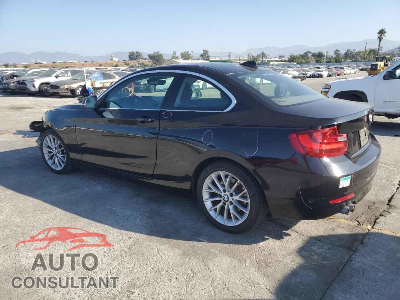 BMW 2 SERIES 2014 - WBA1F5C55EVW97924