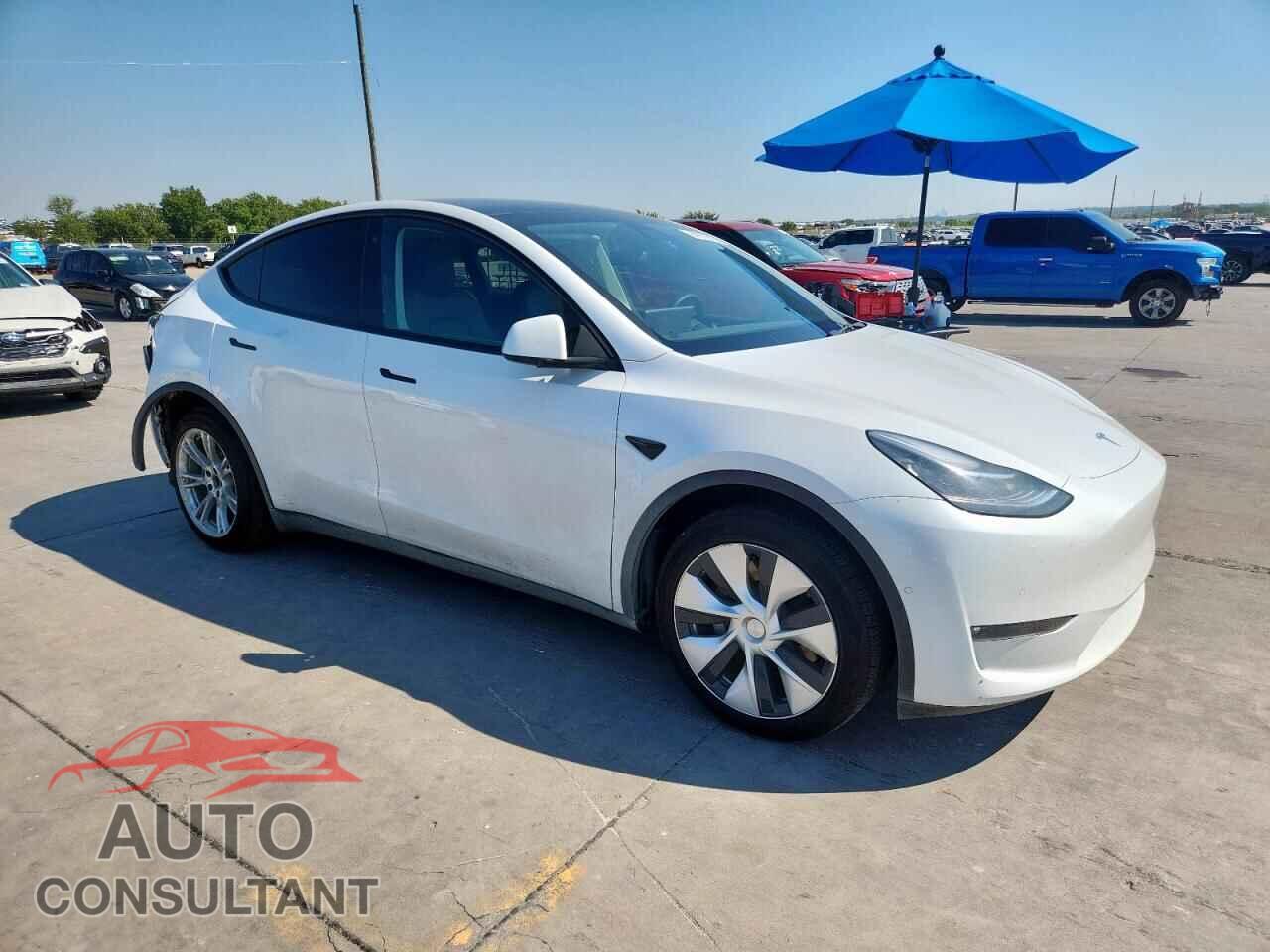 TESLA MODEL Y 2021 - 5YJYGDEE5MF255969
