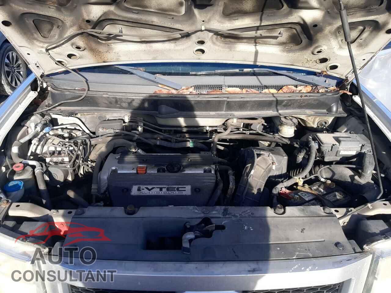 HONDA ELEMENT 2011 - 5J6YH2H71BL004255
