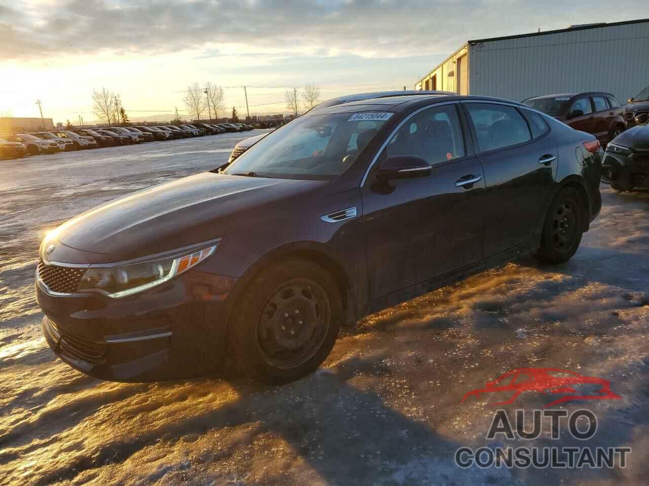 KIA OPTIMA 2016 - 5XXGU4L32GG038256