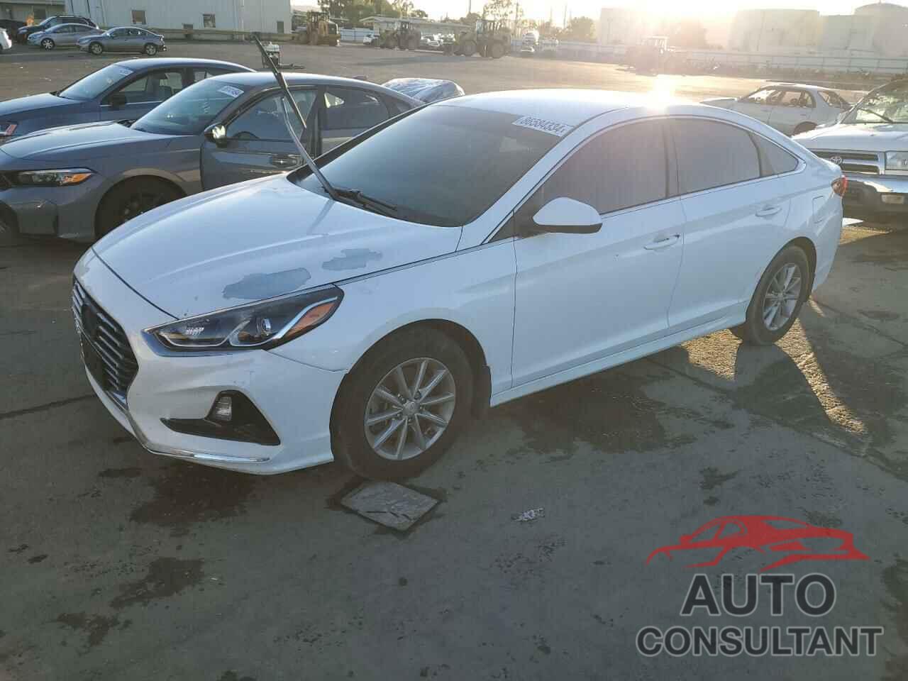 HYUNDAI SONATA 2018 - 5NPE24AF0JH699953