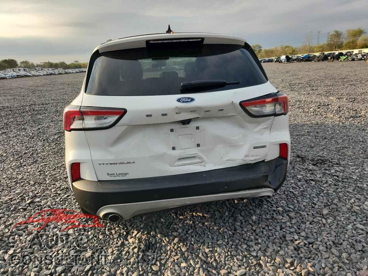 FORD ESCAPE 2020 - 1FMCU9DZ2LUA96091