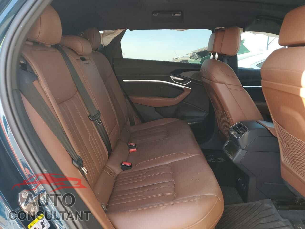 AUDI E-TRON 2019 - WA1VABGE6KB009416