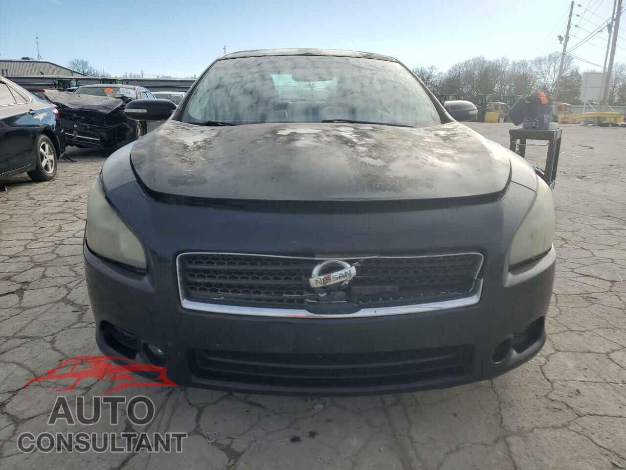 NISSAN MAXIMA 2011 - 1N4AA5AP5BC831057