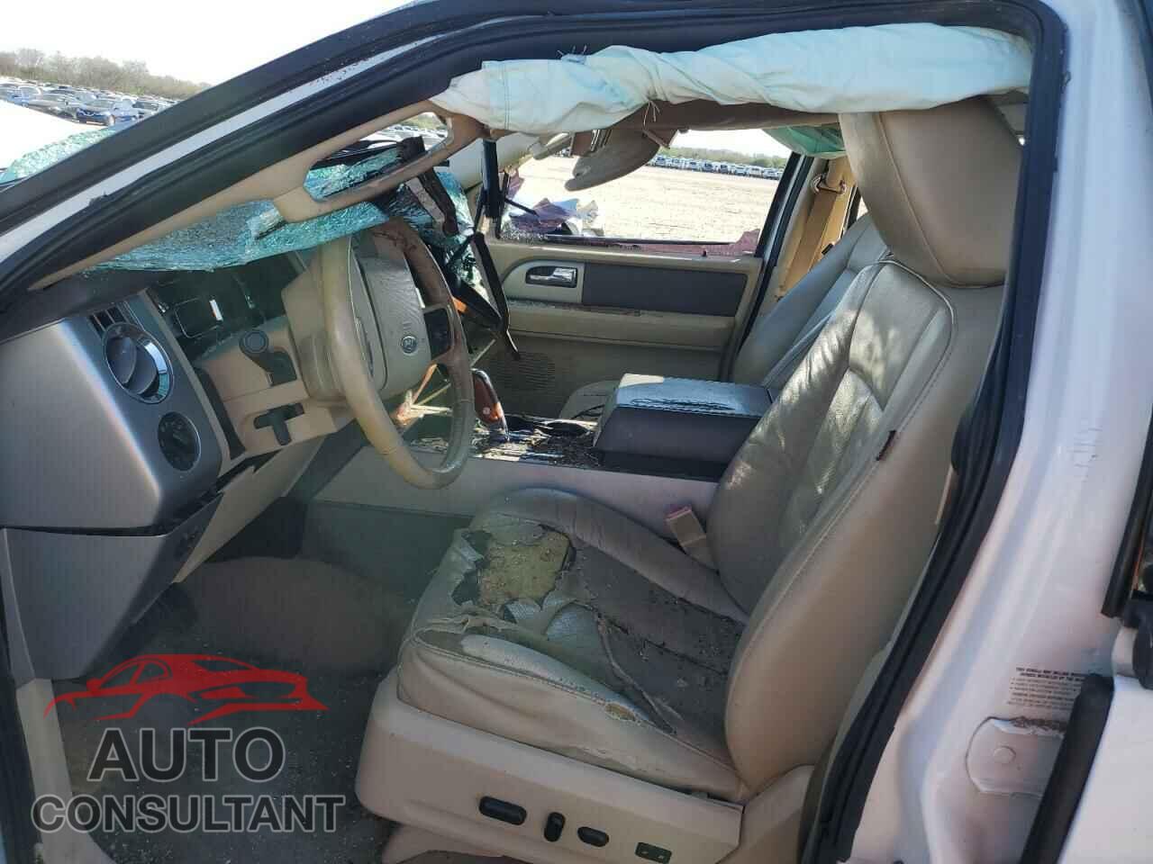 FORD EXPEDITION 2009 - 1FMFU17589EA71514