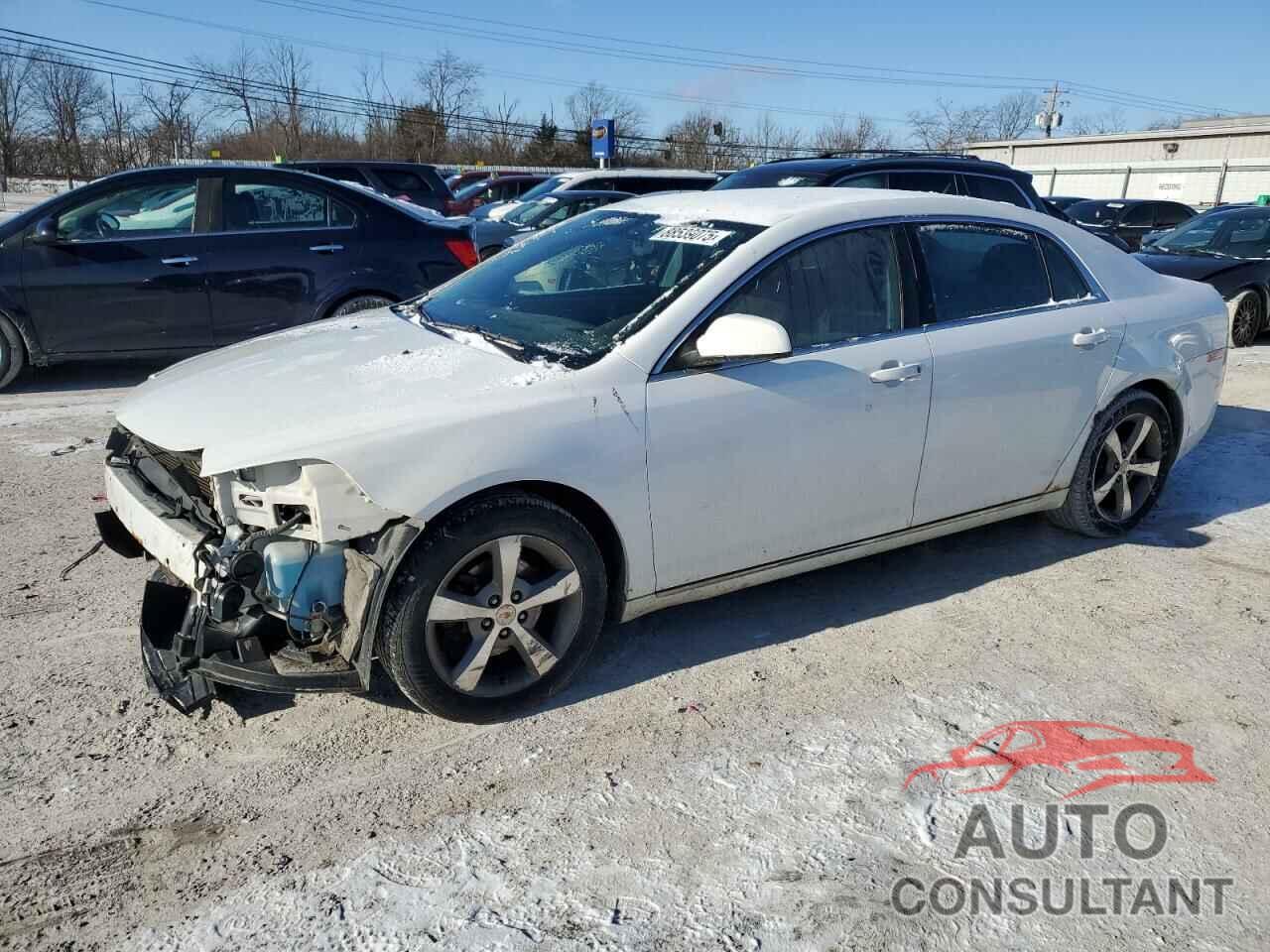 CHEVROLET MALIBU 2011 - 1G1ZC5E15BF305659