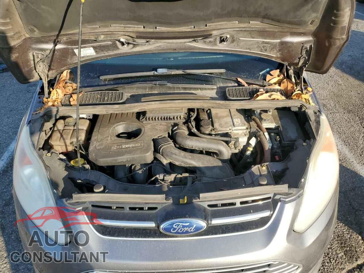 FORD CMAX 2014 - 1FADP5BU1EL509519