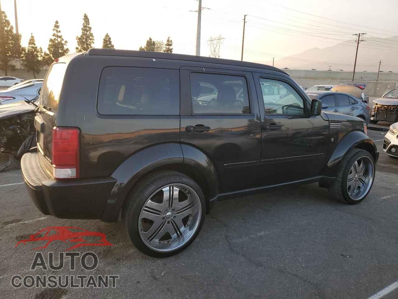 DODGE NITRO 2010 - 1D4PT2GK0AW147199