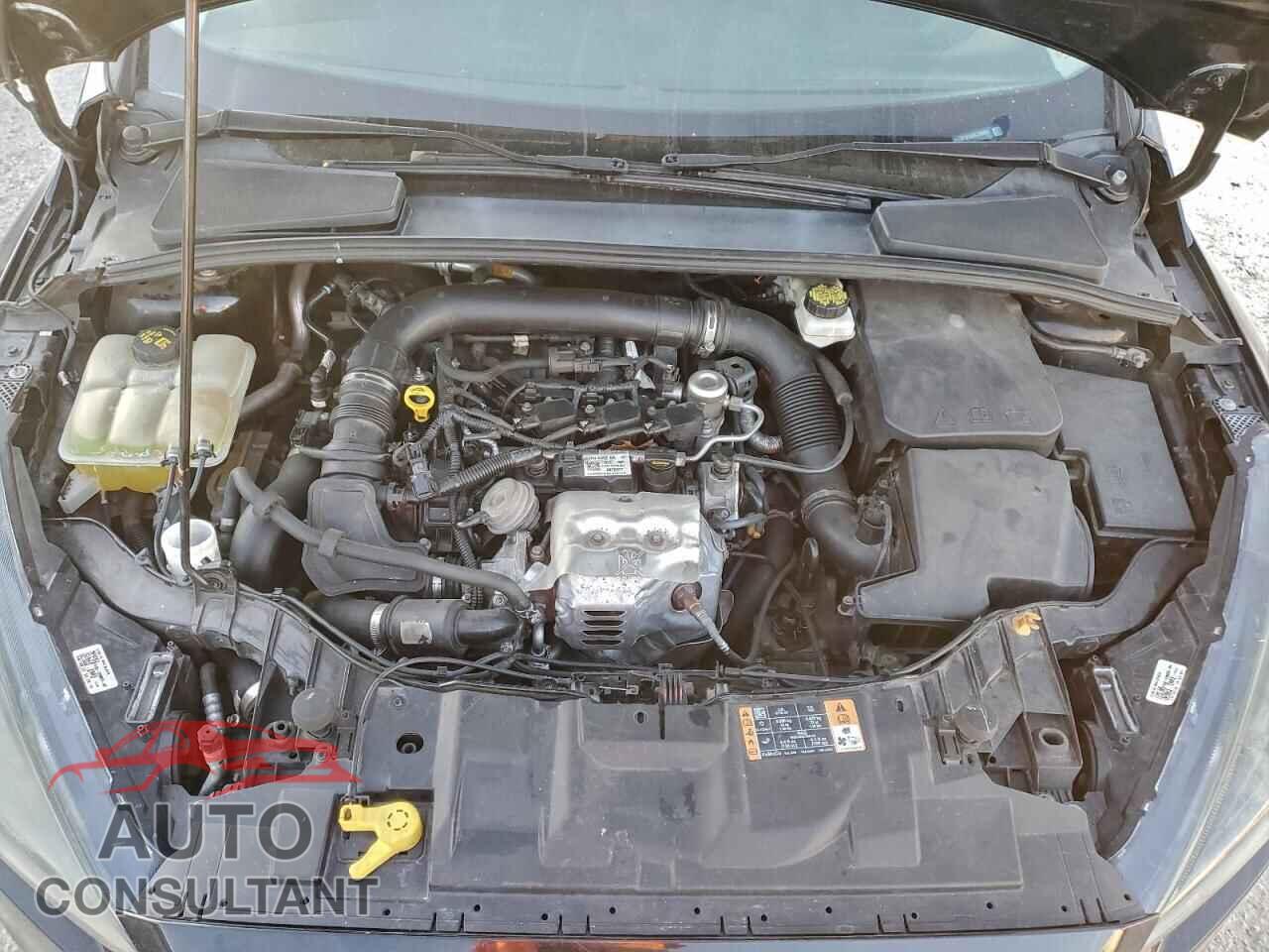 FORD FOCUS 2017 - 1FADP3FE4HL328801