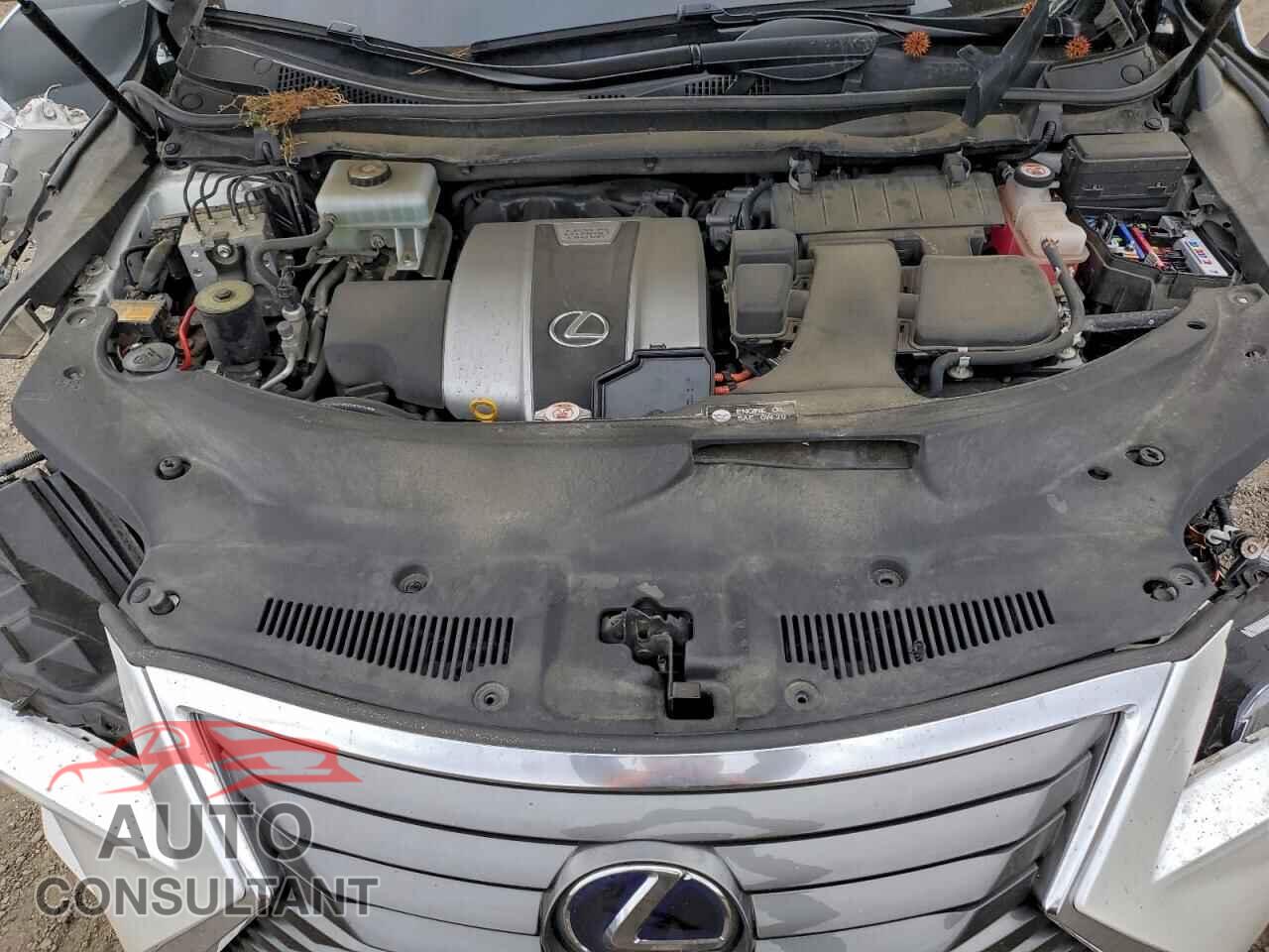 LEXUS RX450 2017 - 2T2BGMCA4HC020149