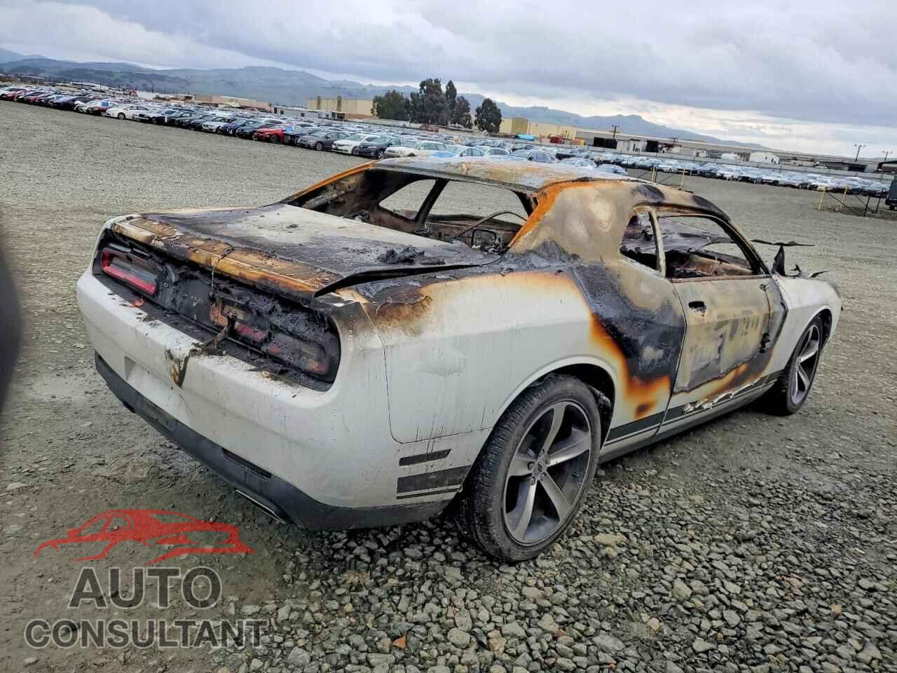 DODGE CHALLENGER 2019 - 2C3CDZAG9KH623170