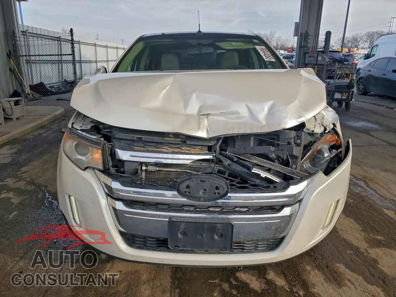FORD EDGE 2011 - 2FMDK4JC2BBB56081