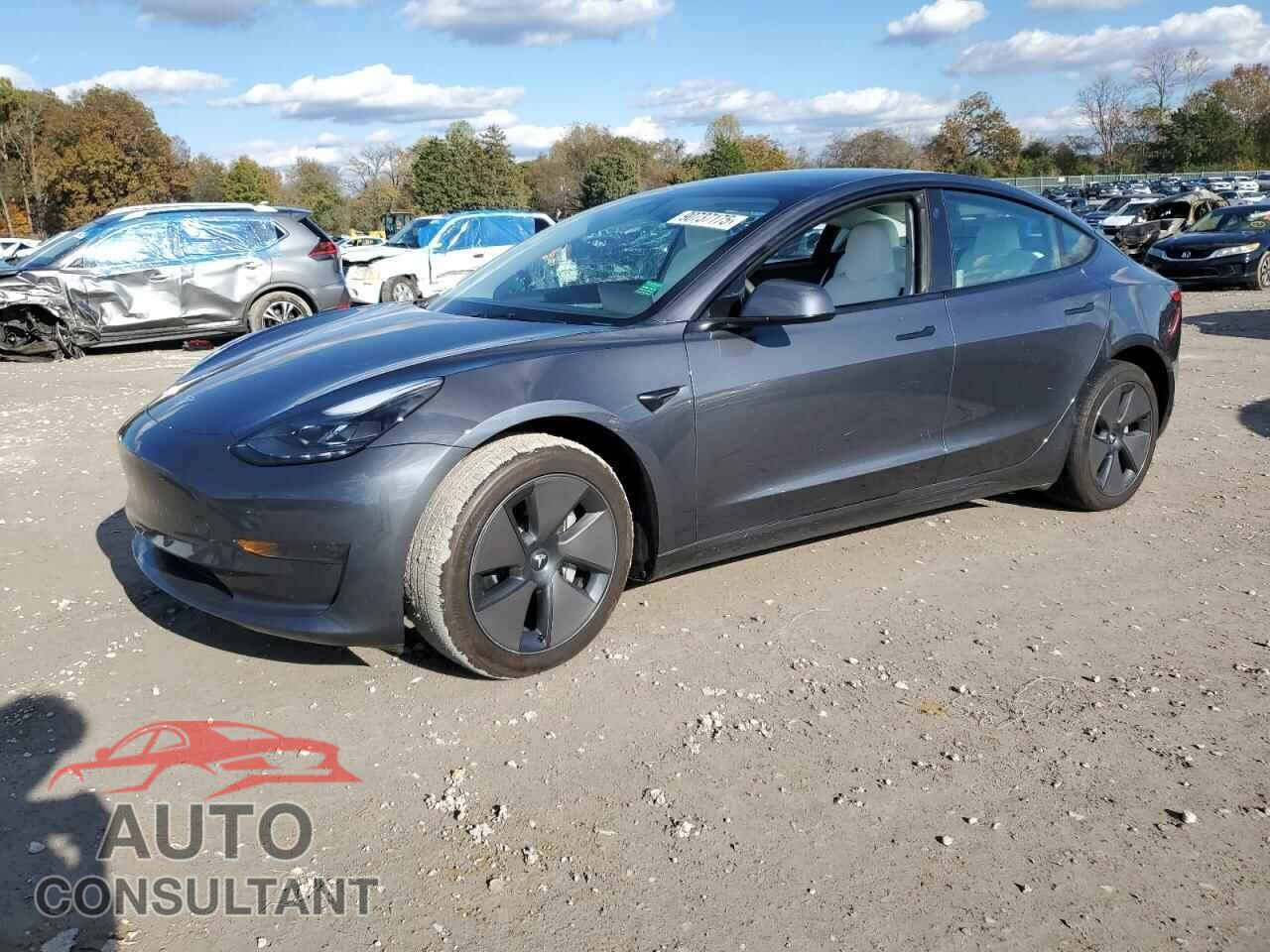 TESLA MODEL 3 2023 - 5YJ3E1EA1PF619031