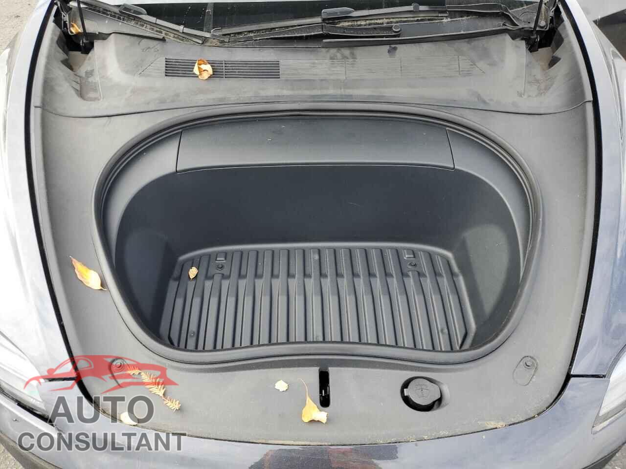 TESLA MODEL 3 2024 - 5YJ3E1EA2RF742923