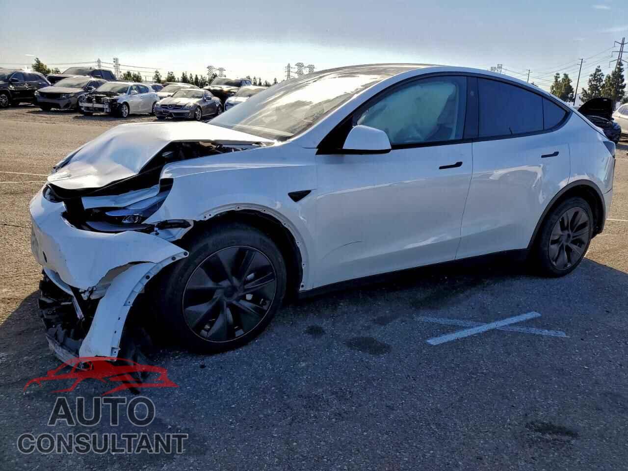 TESLA MODEL Y 2025 - 7SAYGDEE3SF255582