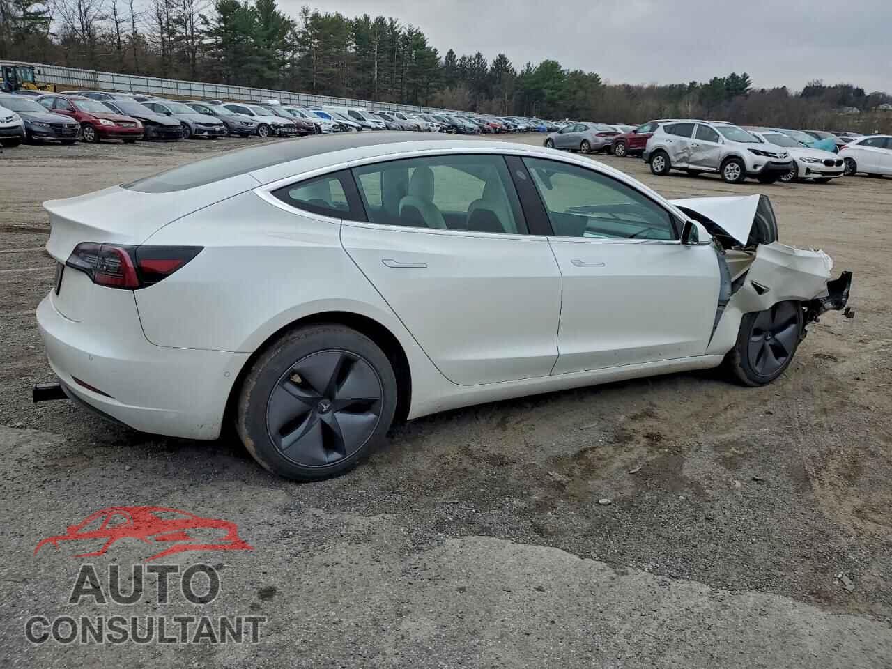 TESLA MODEL 3 2019 - 5YJ3E1EA2KF302044