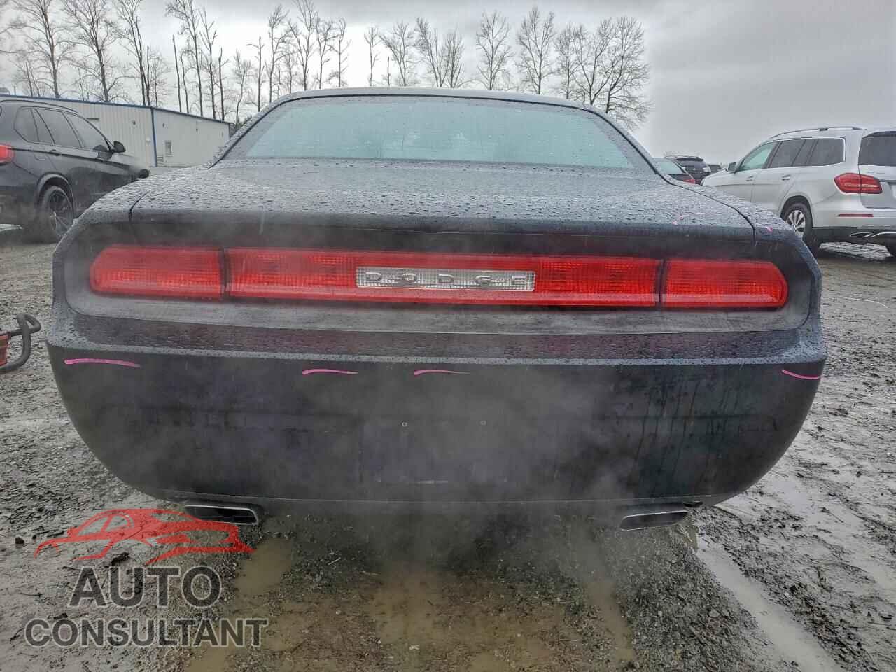 DODGE CHALLENGER 2013 - 2C3CDYAG2DH704735