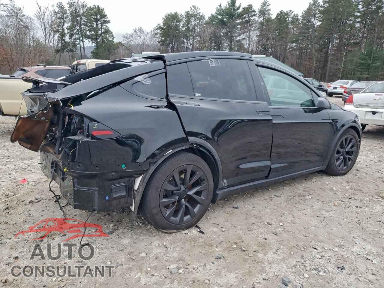 TESLA MODEL X 2024 - 7SAXCDE53RF460689