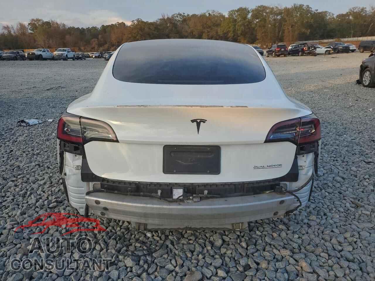 TESLA MODEL 3 2021 - 5YJ3E1EC2MF849741