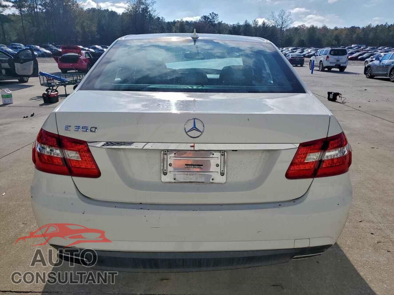 MERCEDES-BENZ E-CLASS 2010 - WDDHF5GB8AA209638