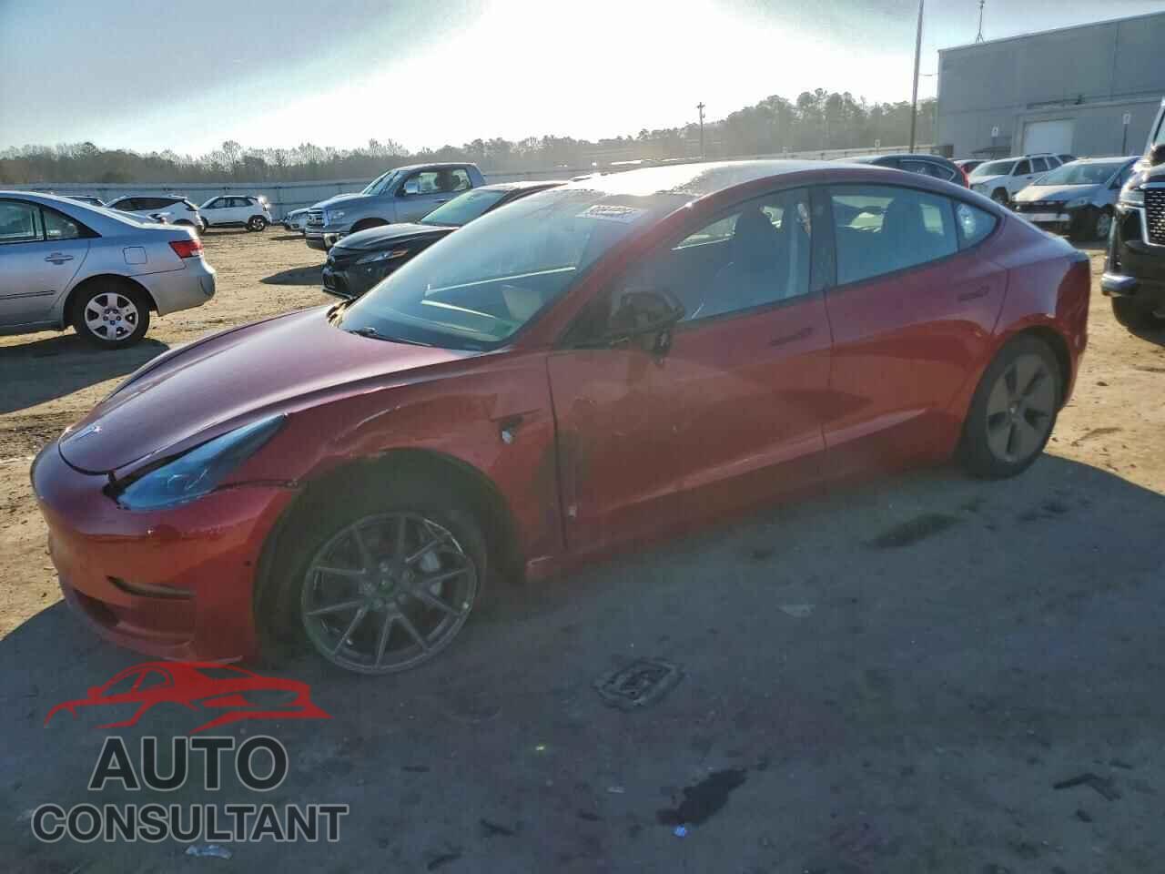 TESLA MODEL 3 2021 - 5YJ3E1EB5MF984316