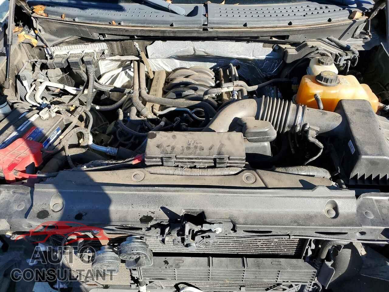 FORD F-150 2013 - 1FTFW1EF8DFD56386