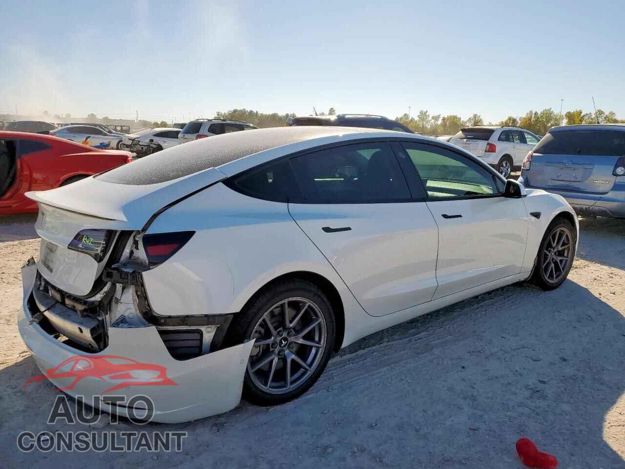 TESLA MODEL 3 2021 - 5YJ3E1EA3MF976299