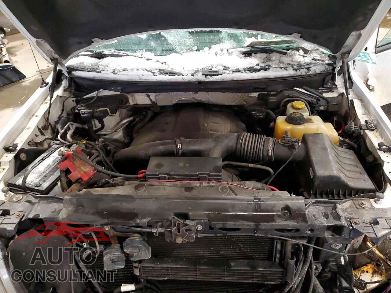 FORD F-150 2013 - 1FTFW1ET1DFD87579
