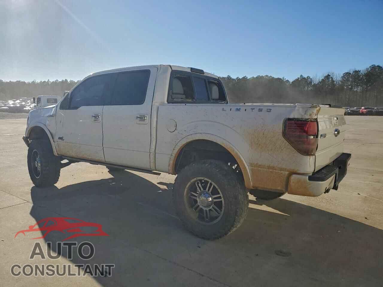 FORD F-150 2011 - 1FTFW1E66BFA60215