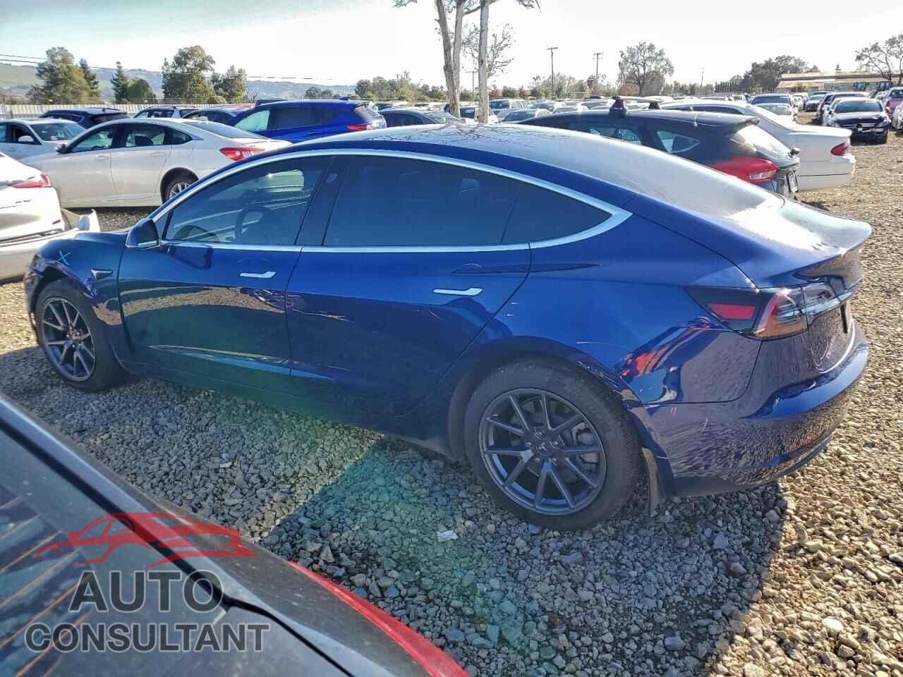 TESLA MODEL 3 2019 - 5YJ3E1EA4KF436070