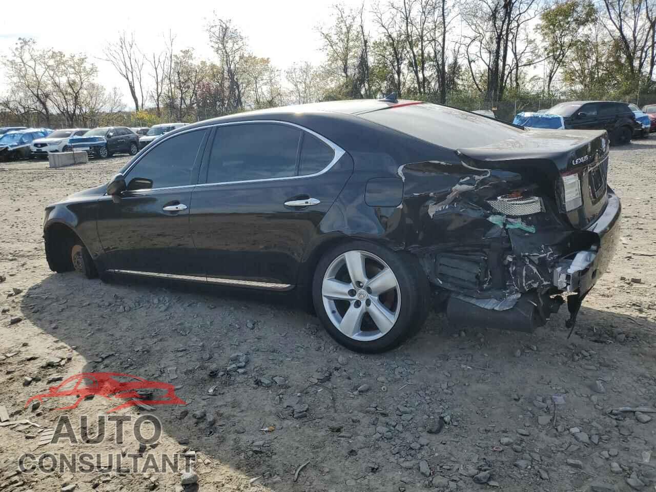 LEXUS LS460 2009 - JTHGL46FX95034342