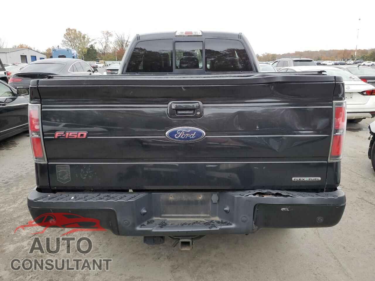 FORD F-150 2012 - 1FTFX1EF3CFC86890