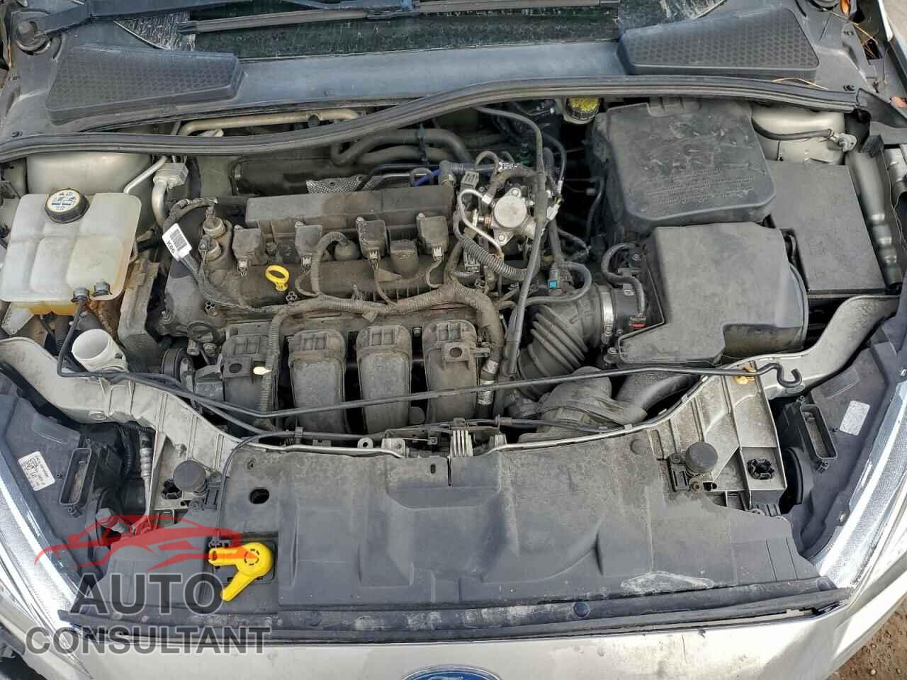 FORD FOCUS 2016 - 1FADP3F29GL342777