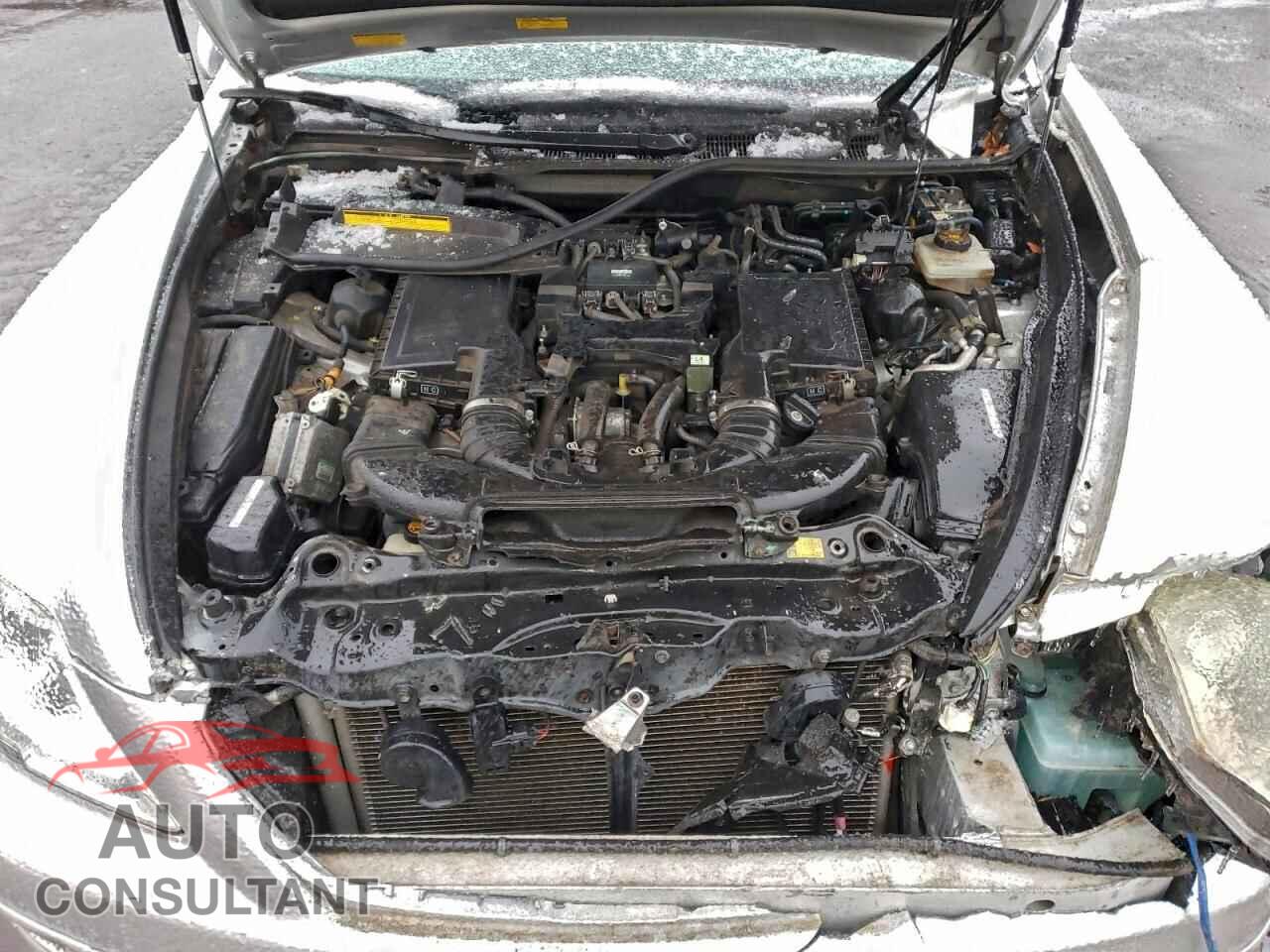 LEXUS LS460 2009 - JTHCL46F095003308