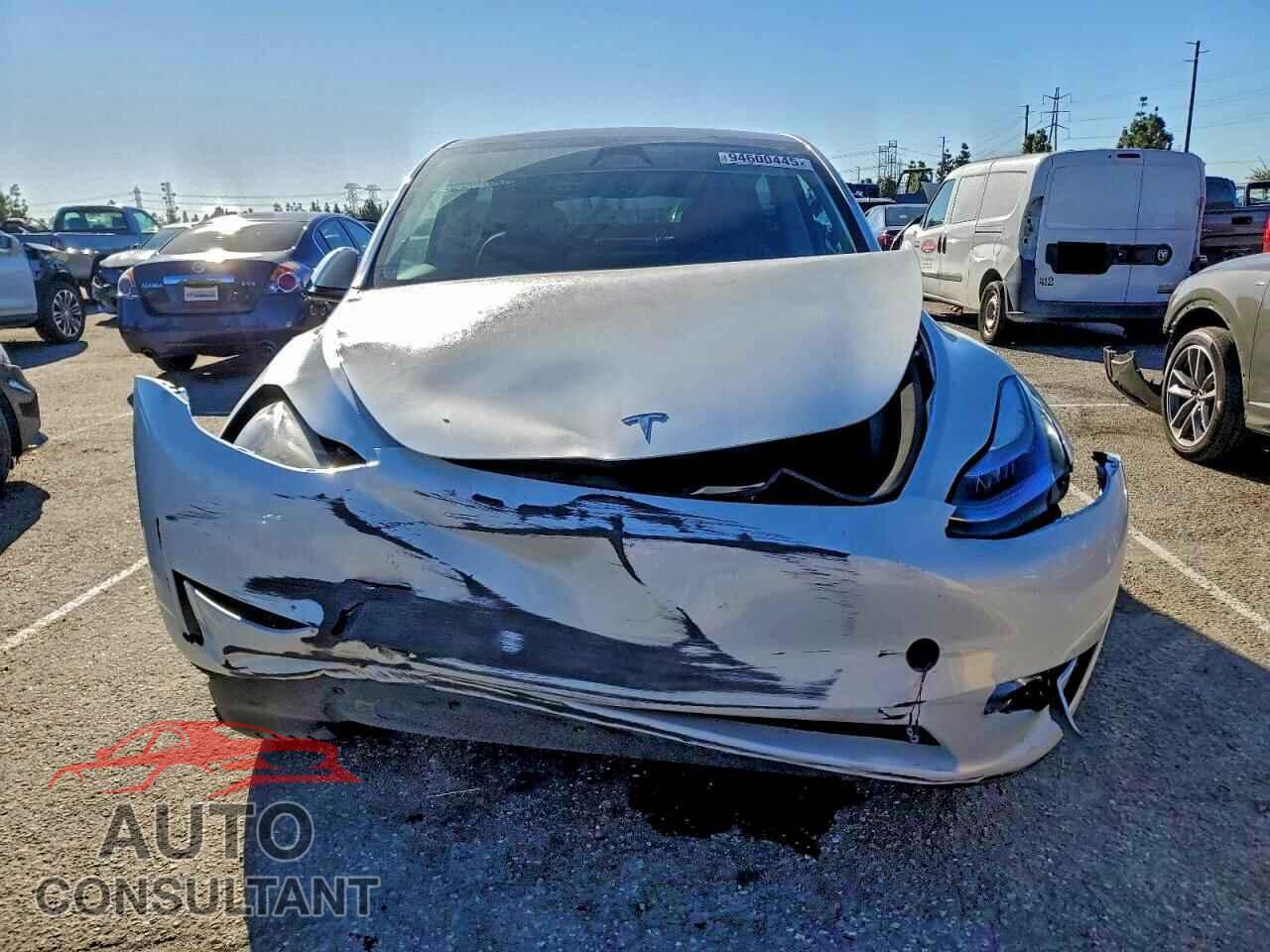 TESLA MODEL Y 2024 - 7SAYGDED1RF055396