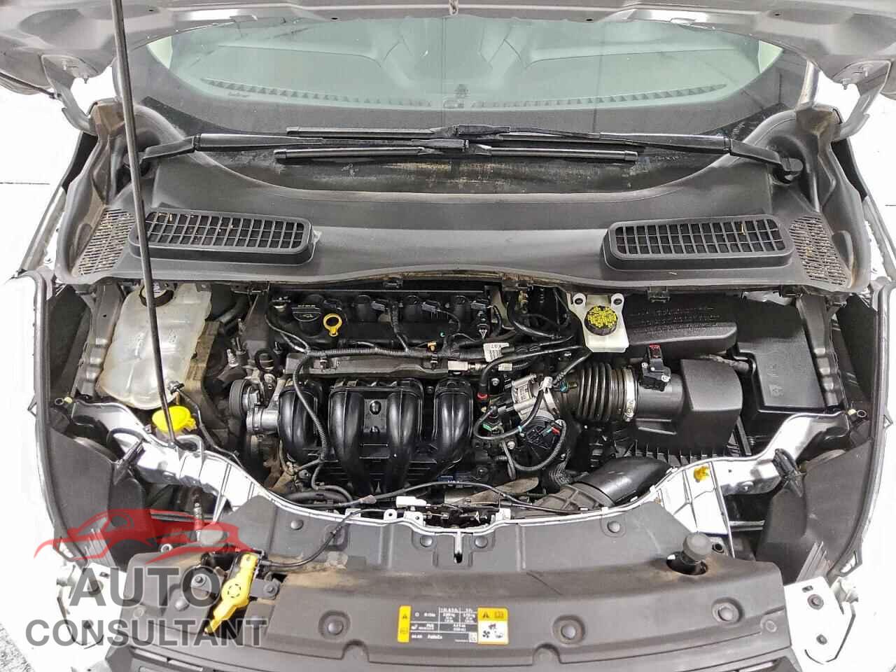 FORD ESCAPE 2013 - 1FMCU0F7XDUB15530