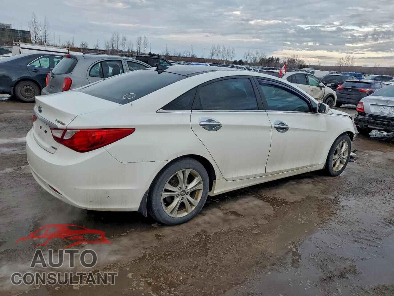 HYUNDAI SONATA 2012 - 5NPEC4AC5CH321956