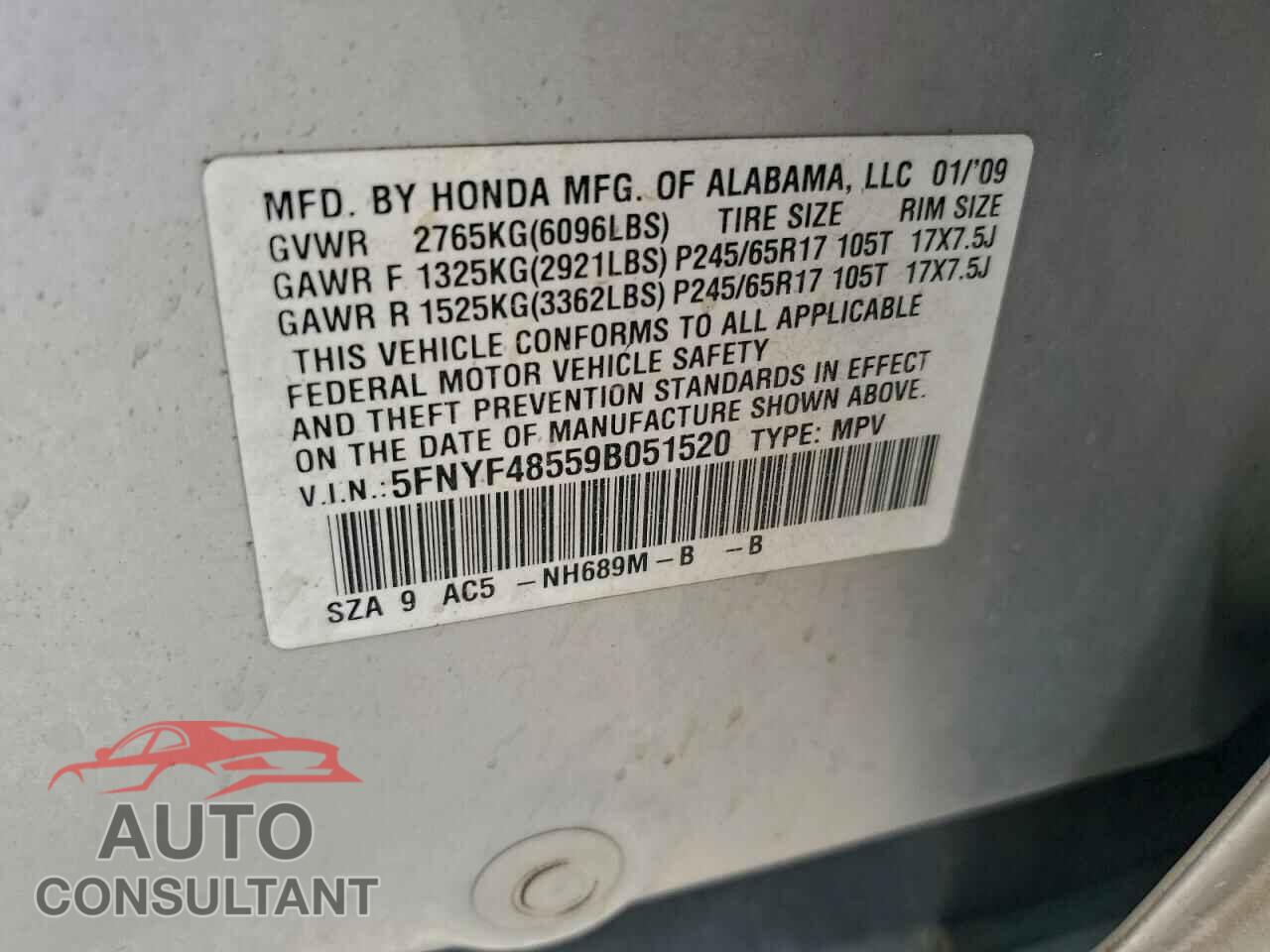 HONDA PILOT 2009 - 5FNYF48559B051520