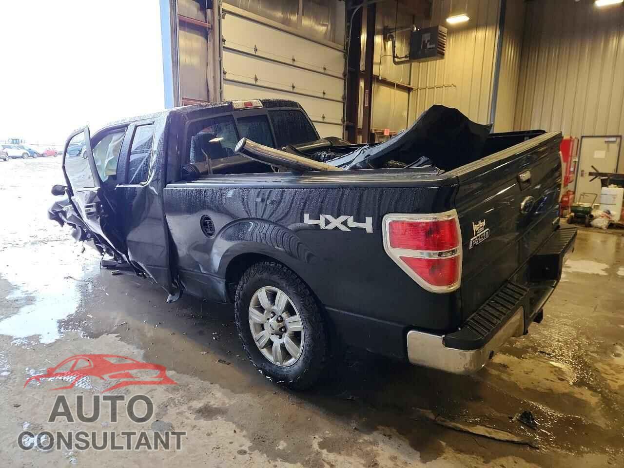 FORD F-150 2011 - 1FTFX1EF8BFA36186