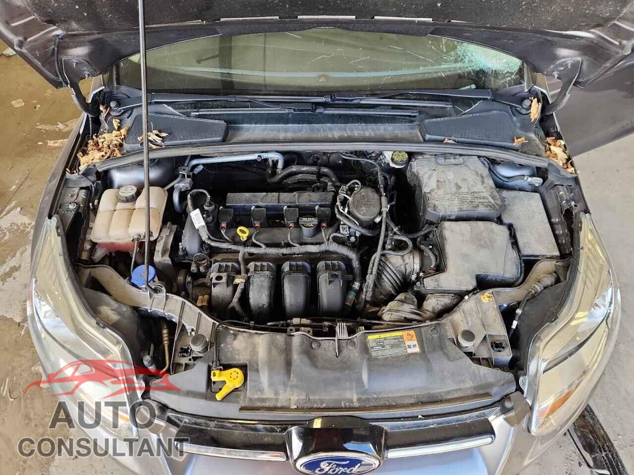FORD FOCUS 2012 - 1FAHP3M25CL463482