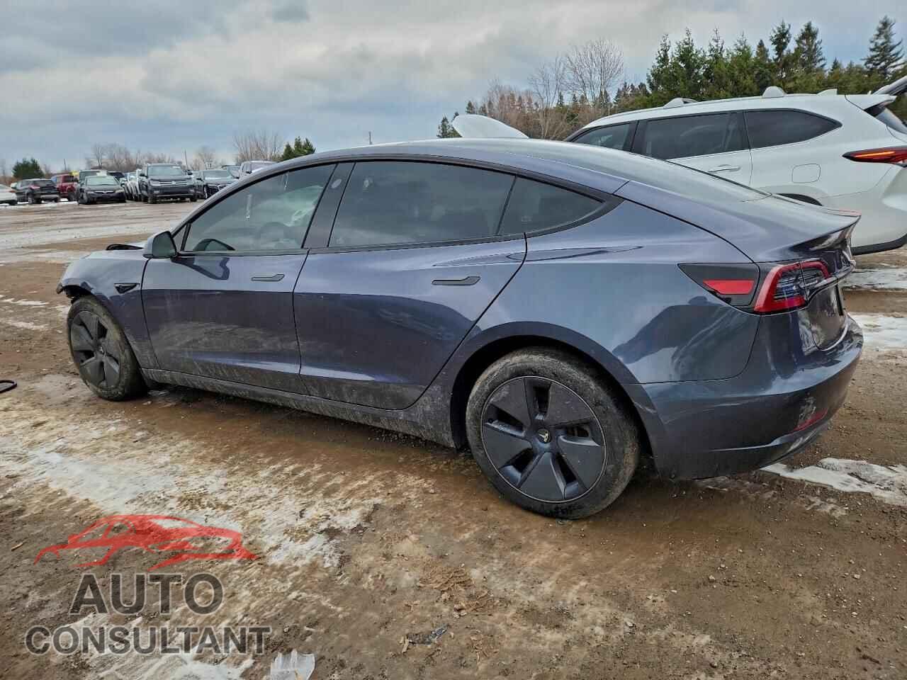 TESLA MODEL 3 2023 - LRW3E1FA6PC921164