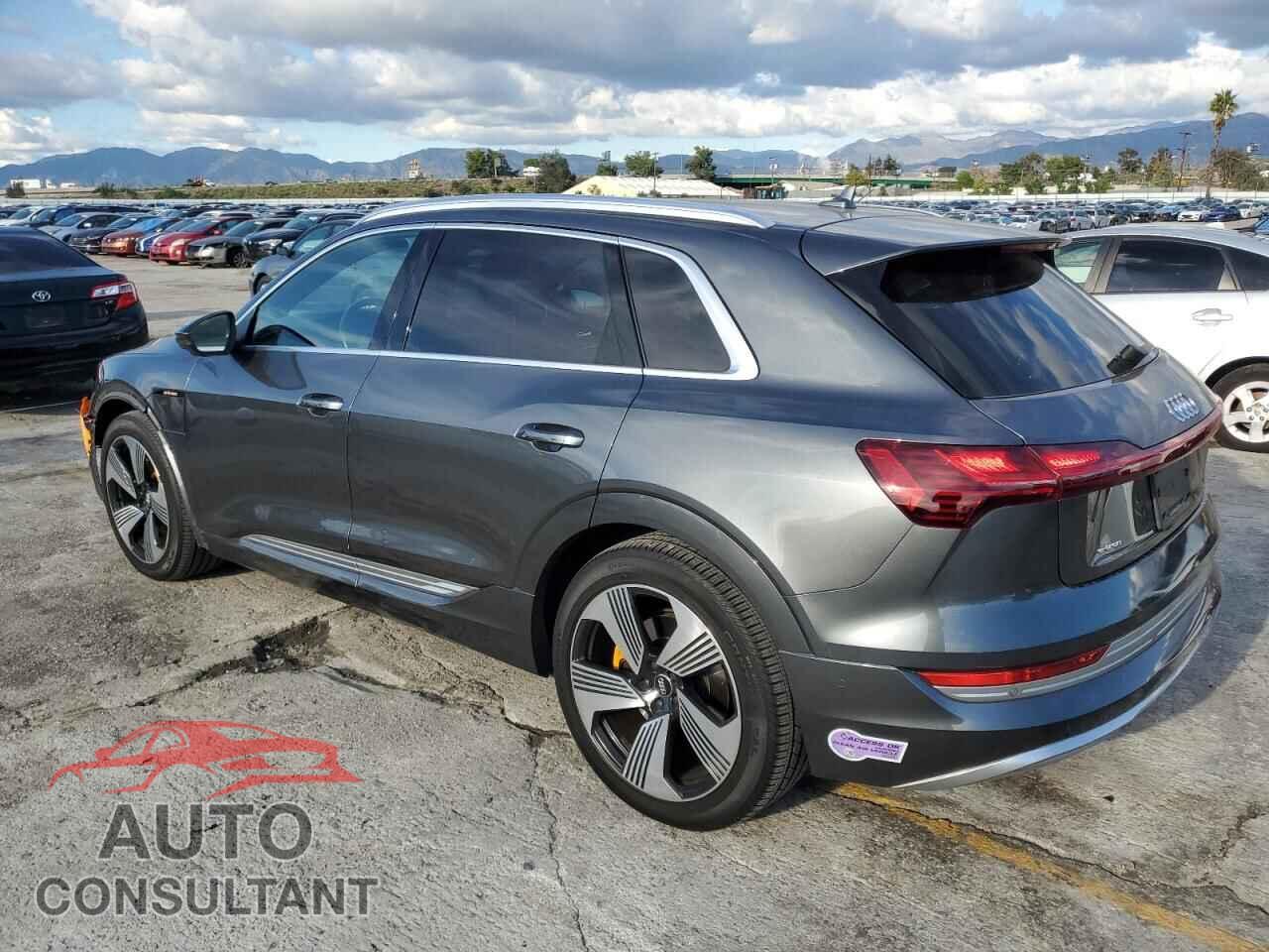AUDI E-TRON 2019 - WA1VAAGE8KB007581