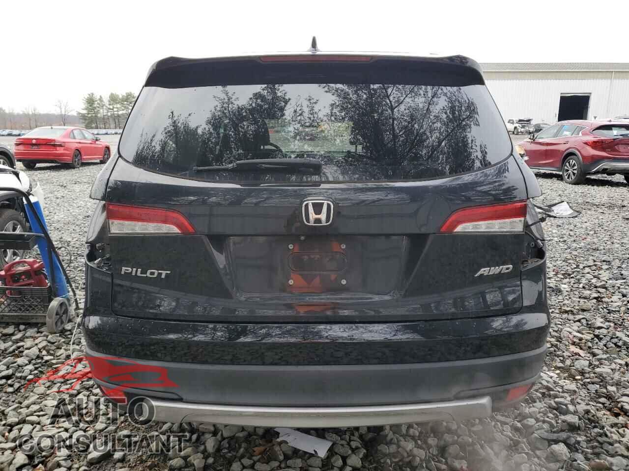 HONDA PILOT 2019 - 5FNYF6H5XKB080433