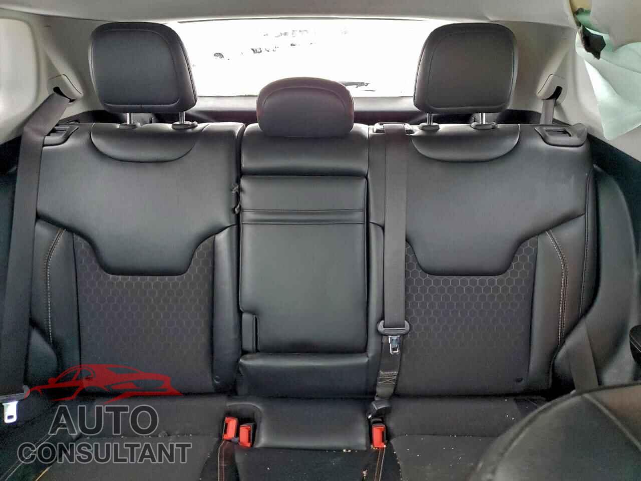 JEEP COMPASS 2019 - 3C4NJDBB2KT716333