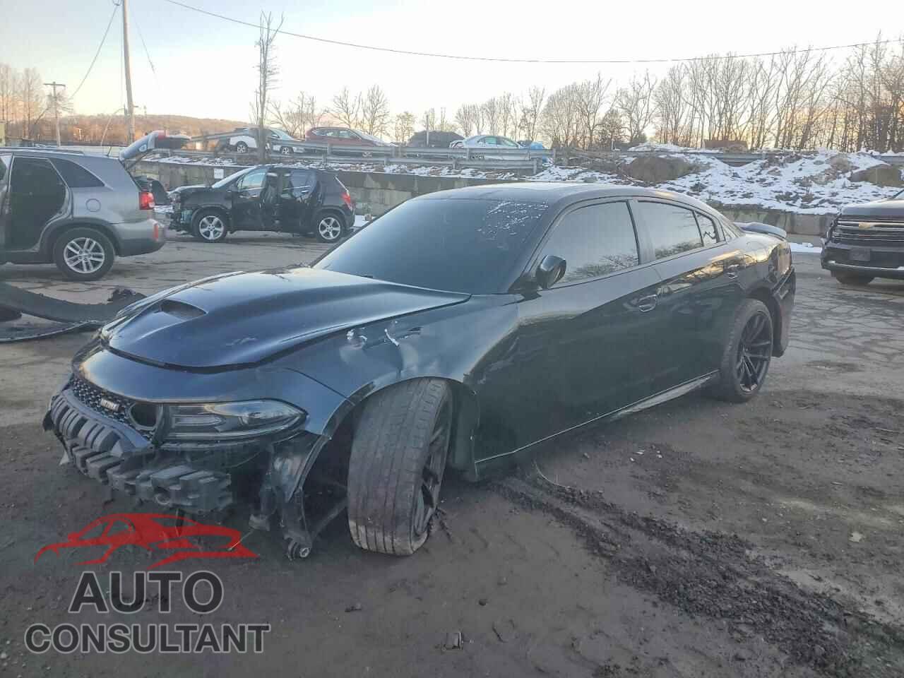 DODGE CHARGER 2020 - 2C3CDXGJ3LH156188