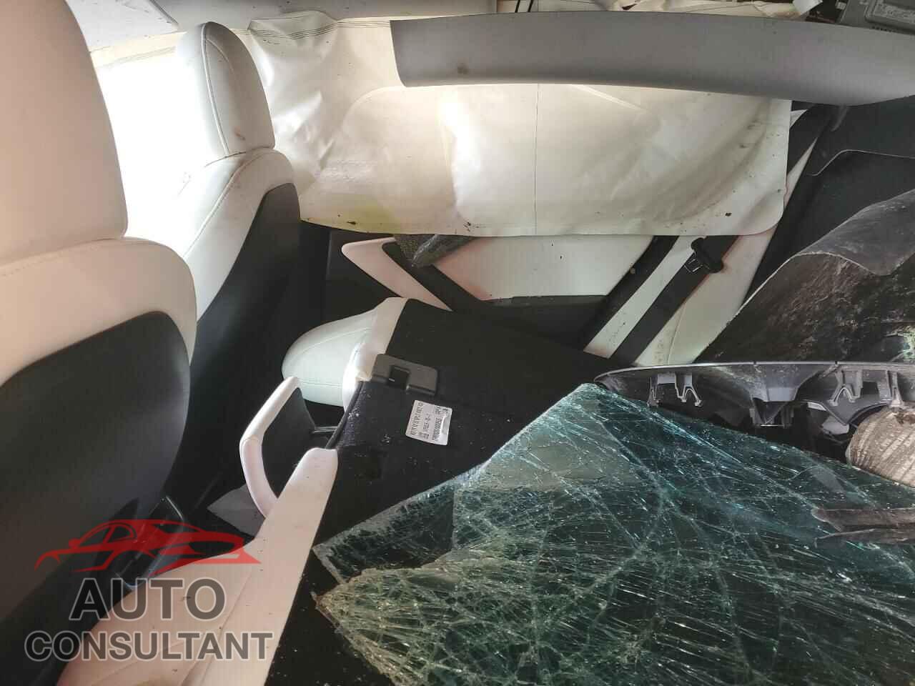 TESLA MODEL 3 2020 - 5YJ3E1EBXLF801541