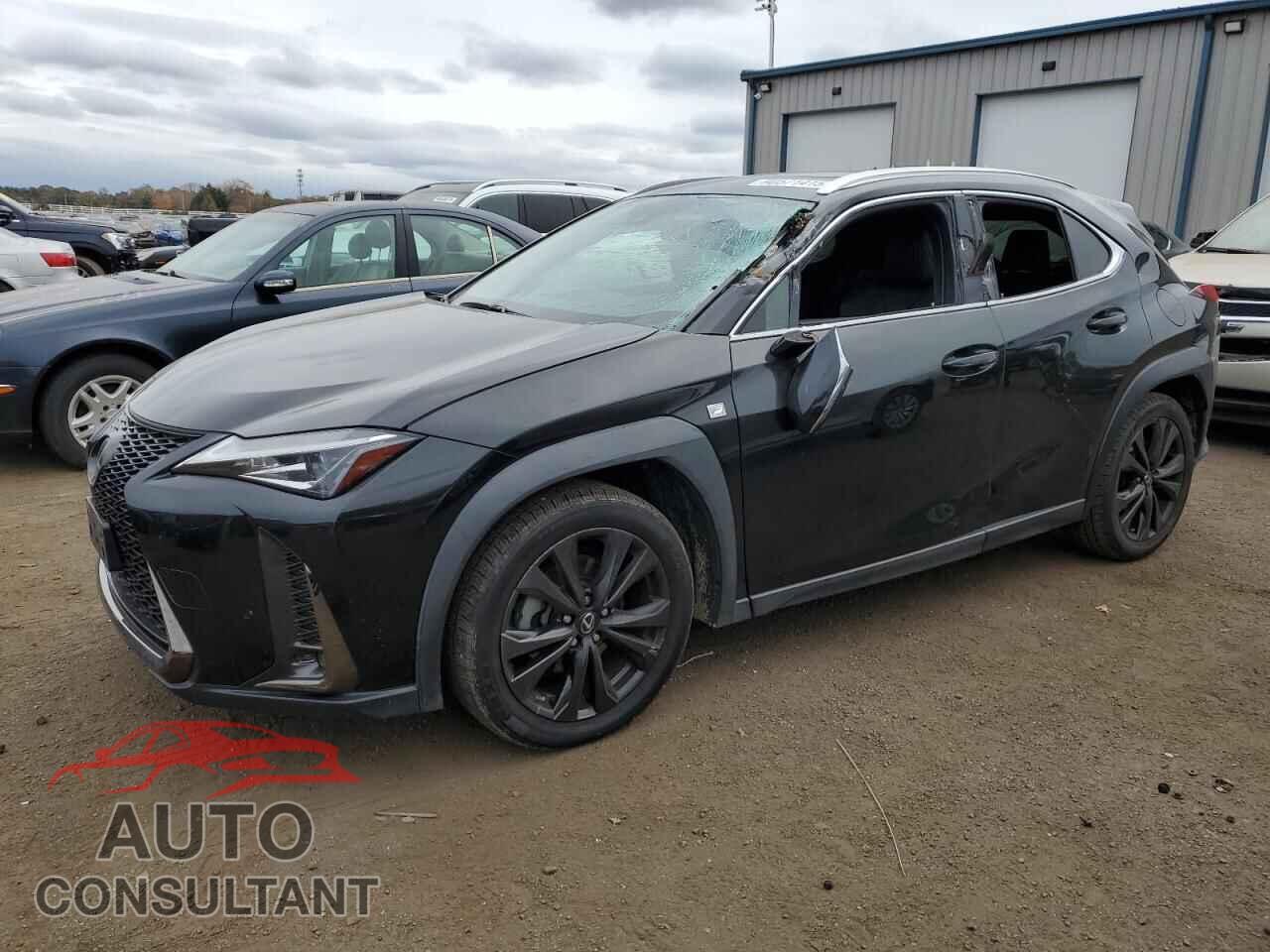 LEXUS UX 200 2019 - JTHY3JBH3K2006013