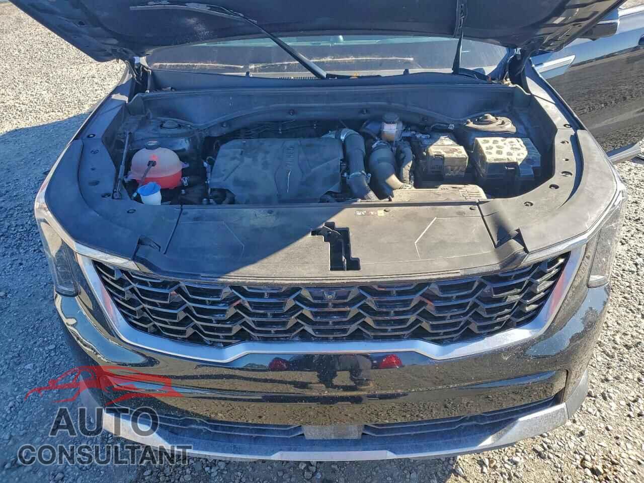 KIA SORENTO 2024 - 5XYRK4JF8RG253473